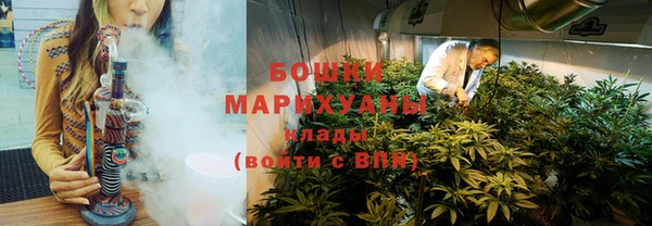 ГАЛЛЮЦИНОГЕННЫЕ ГРИБЫ Баксан