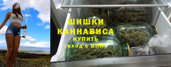 ГАЛЛЮЦИНОГЕННЫЕ ГРИБЫ Баксан